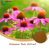 Echinacea Extract 100% Natural Plant Extracted Cichoric Acid Powder