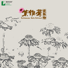  Echinacea Purpurea Extract Powder With Polyphenols Cichoric Acid