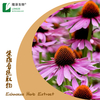 Echinacea Purpurea Extract Polyphenols Chicoric Acid 4% Dry Natural