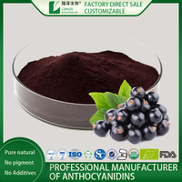 Black Currant Fruit Powder Extract
