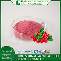Chinese Cranberry Powder Factory