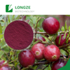 High Quality Anthocyanidins 25% Cranberry Extract Powder