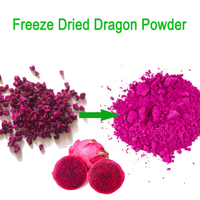 100% Purity Freeze Dried Red Dragon Powder Pitaya Fruit Powder