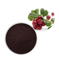 High Quality Cranberry Extract 10% Proanthocyanidins