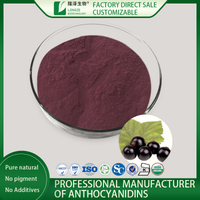 Maqui Berry Fruit Powder