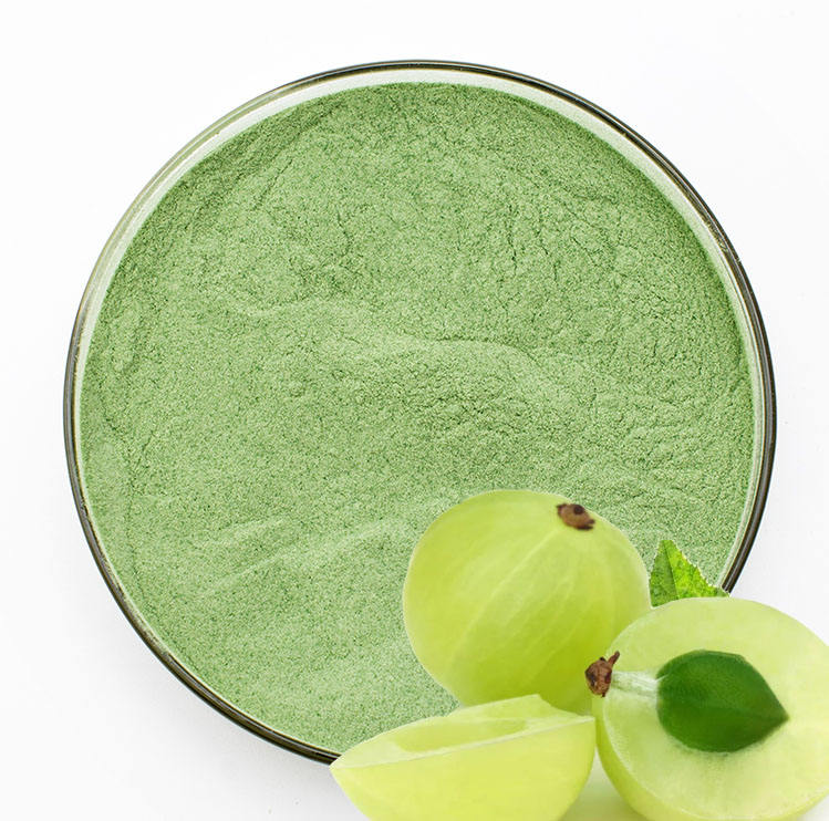 Fruit Extract powder Alma Extract Powder Phyllanthus Emblica Extract