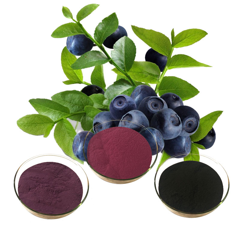 Bilberry Vaccinium Myrtillus Powder