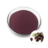 Acai Berry Extract Powder Plant Extract From Herb Euterpe oleracea M